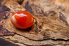 How Carnelian Necklaces Boost Motivation and Aid in Meditation